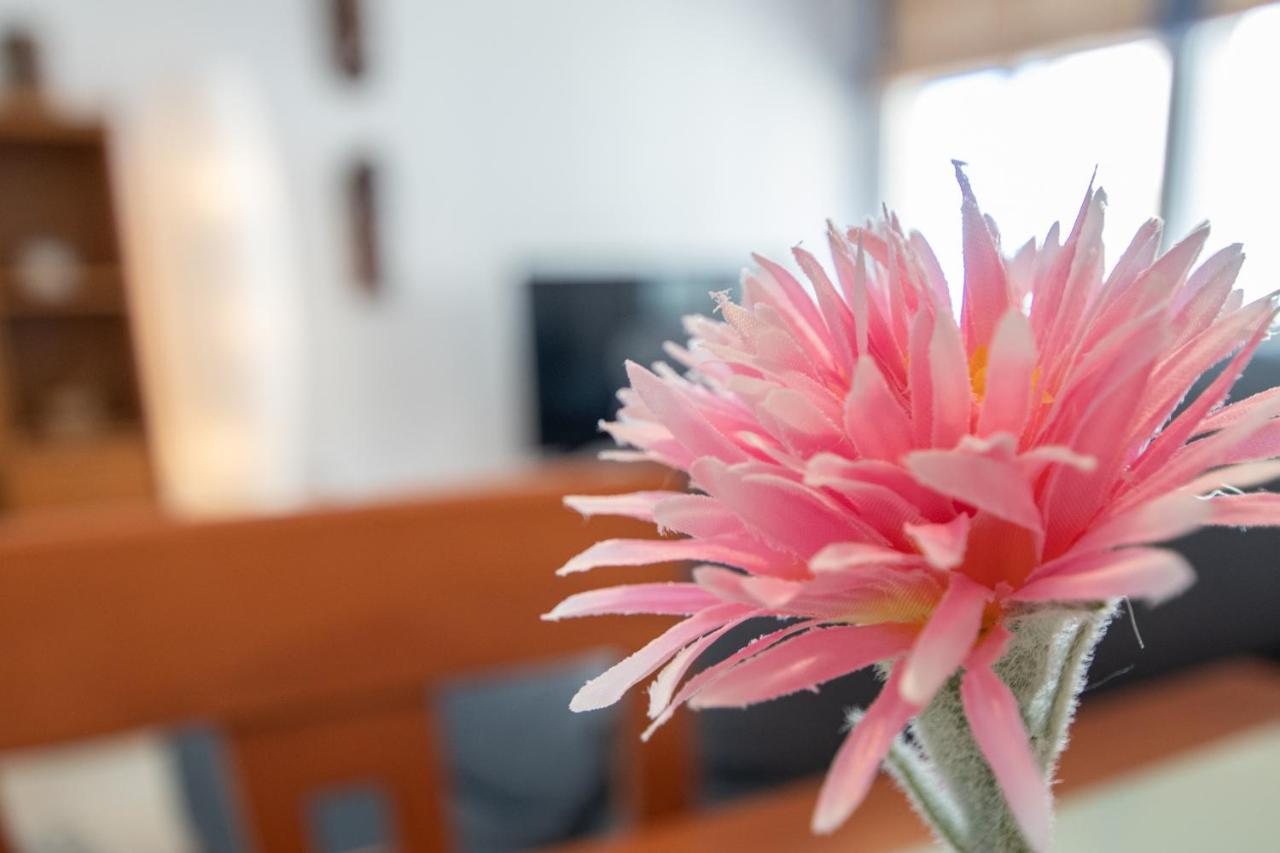 Apartamento Tribalia קדיז מראה חיצוני תמונה